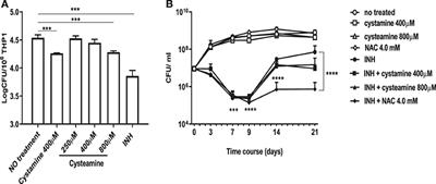 Inhibition of Transglutaminase 2 as a Potential Host-Directed Therapy Against Mycobacterium tuberculosis